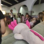 IMG_20260505_163250