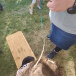 IMG_20260927_164034